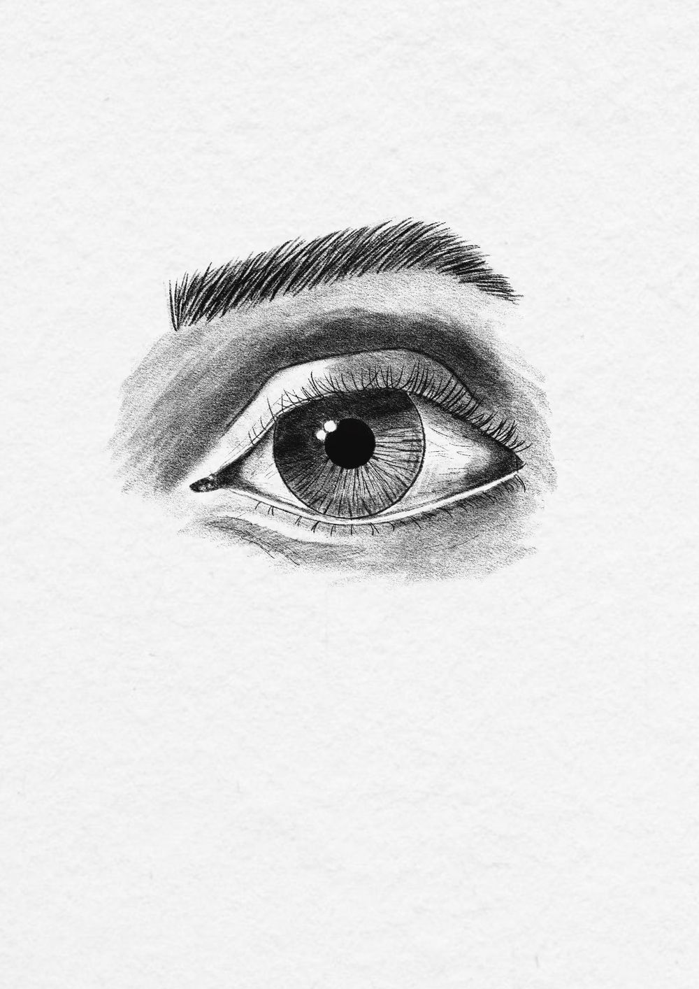 Eye and shading. - image 3 - student project
