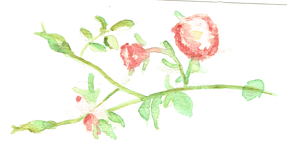 Romantic picknick - image 1 - student project