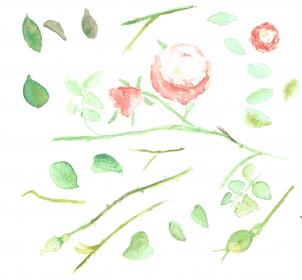 Romantic picknick - image 3 - student project