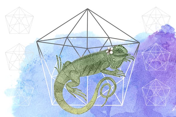 Iguana ID Board - image 3 - student project