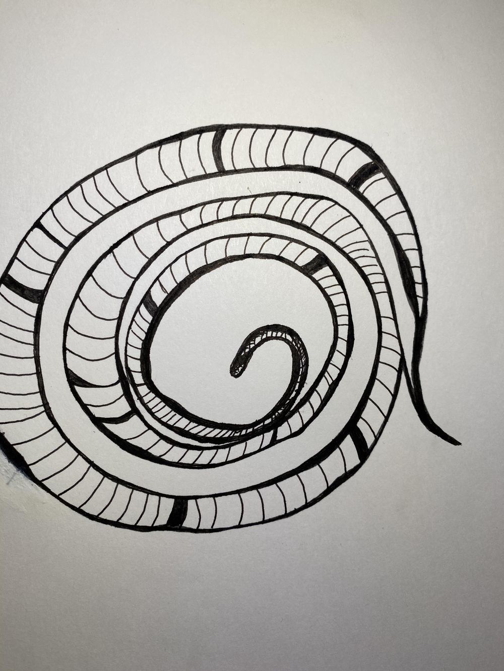 14 Days of Drawing - image 10 - student project