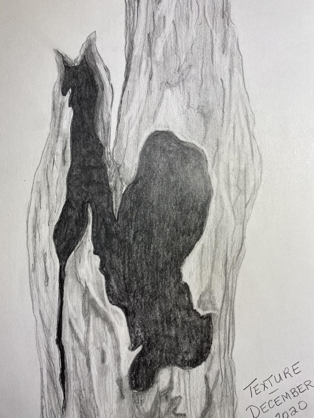 14 Days of Drawing - image 1 - student project