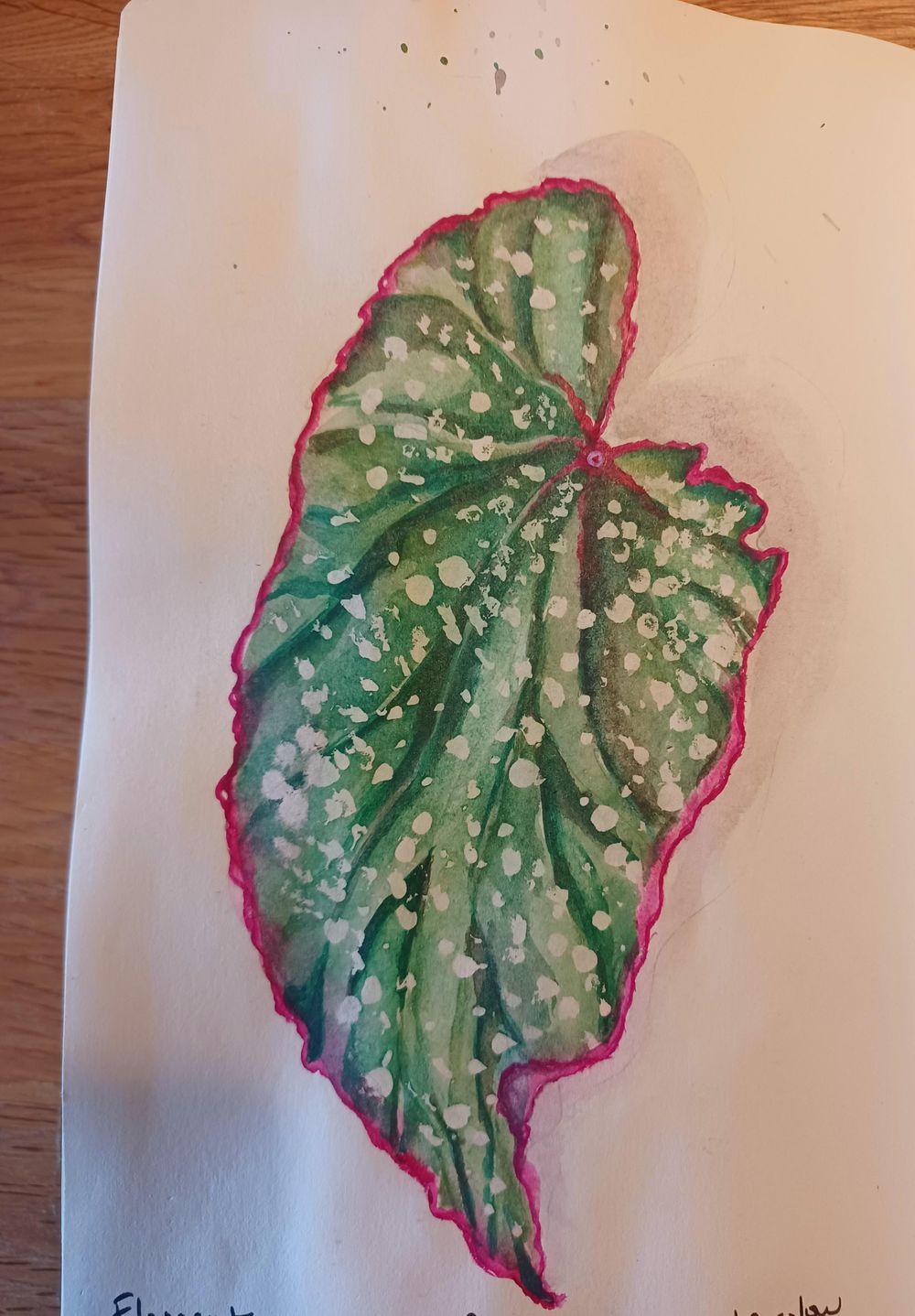 Begonia leaf in watercolour - image 1 - student project