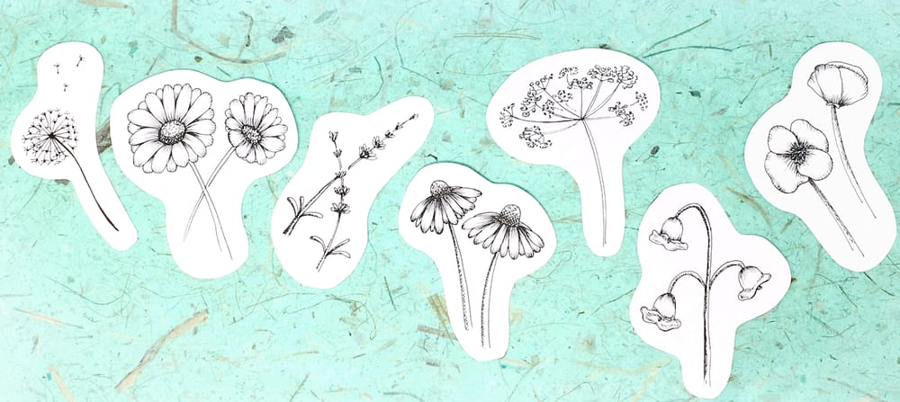 wildflowers in ink - image 1 - student project