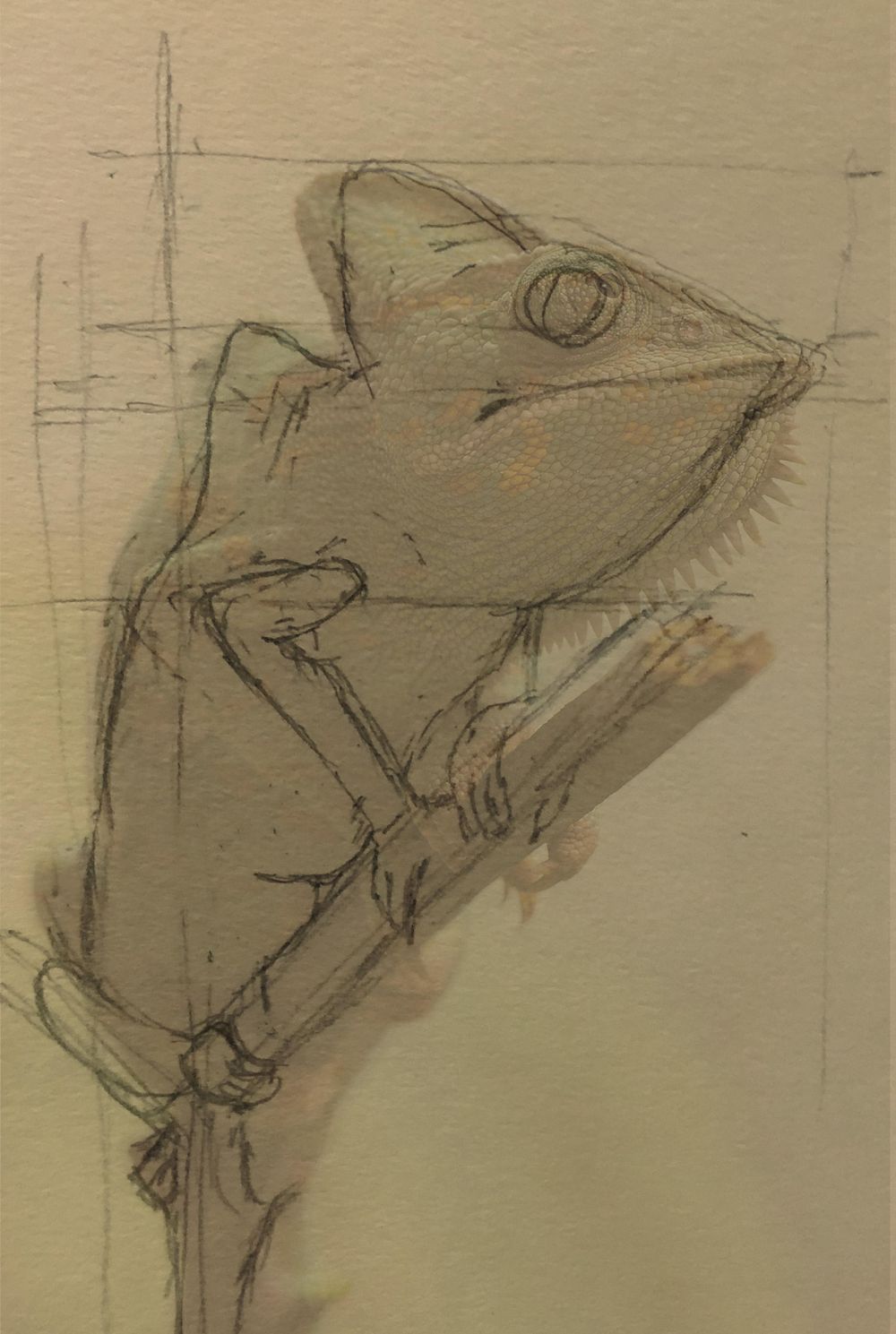 Pencil Drawing - image 4 - student project