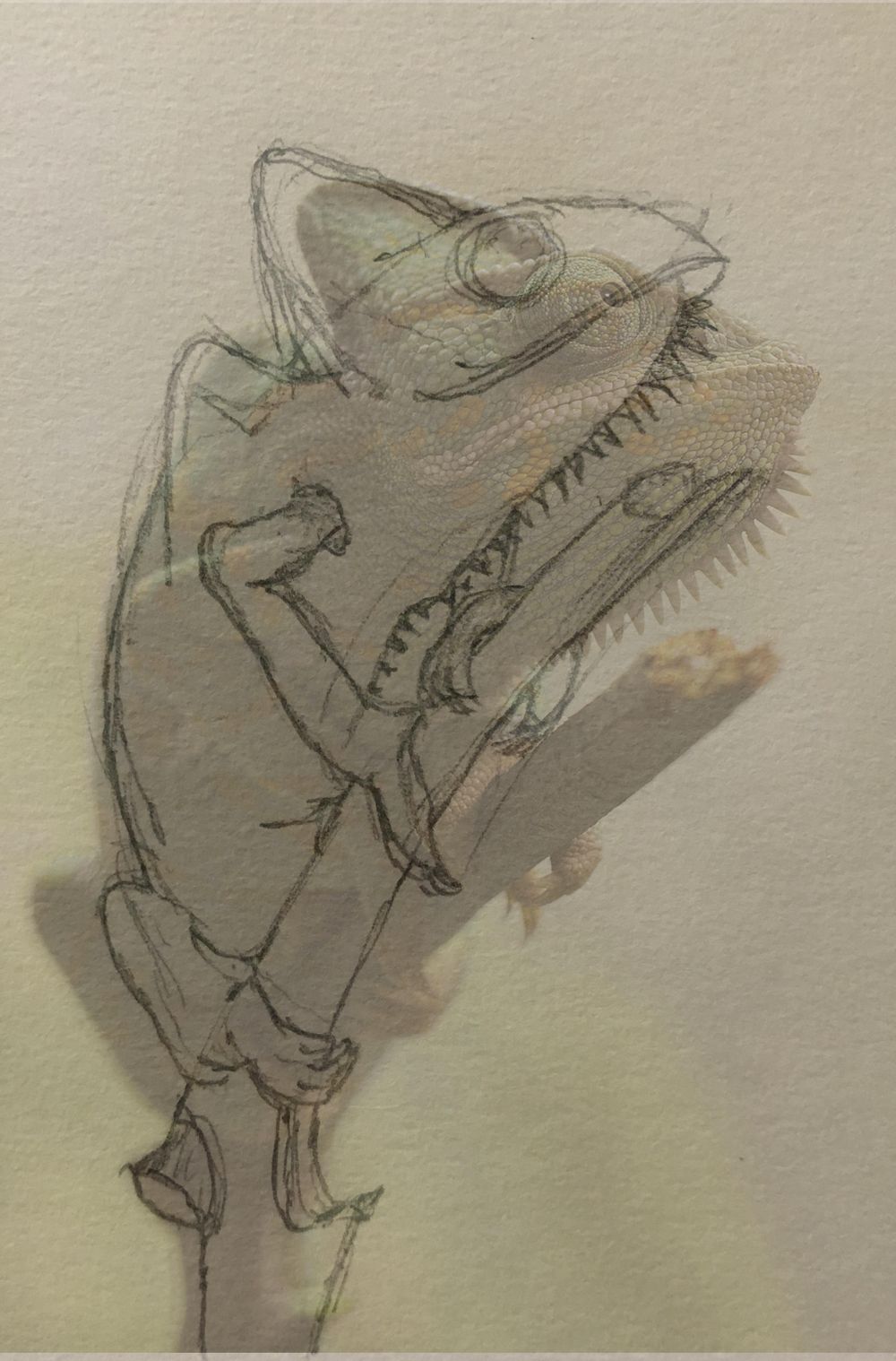 Pencil Drawing - image 1 - student project