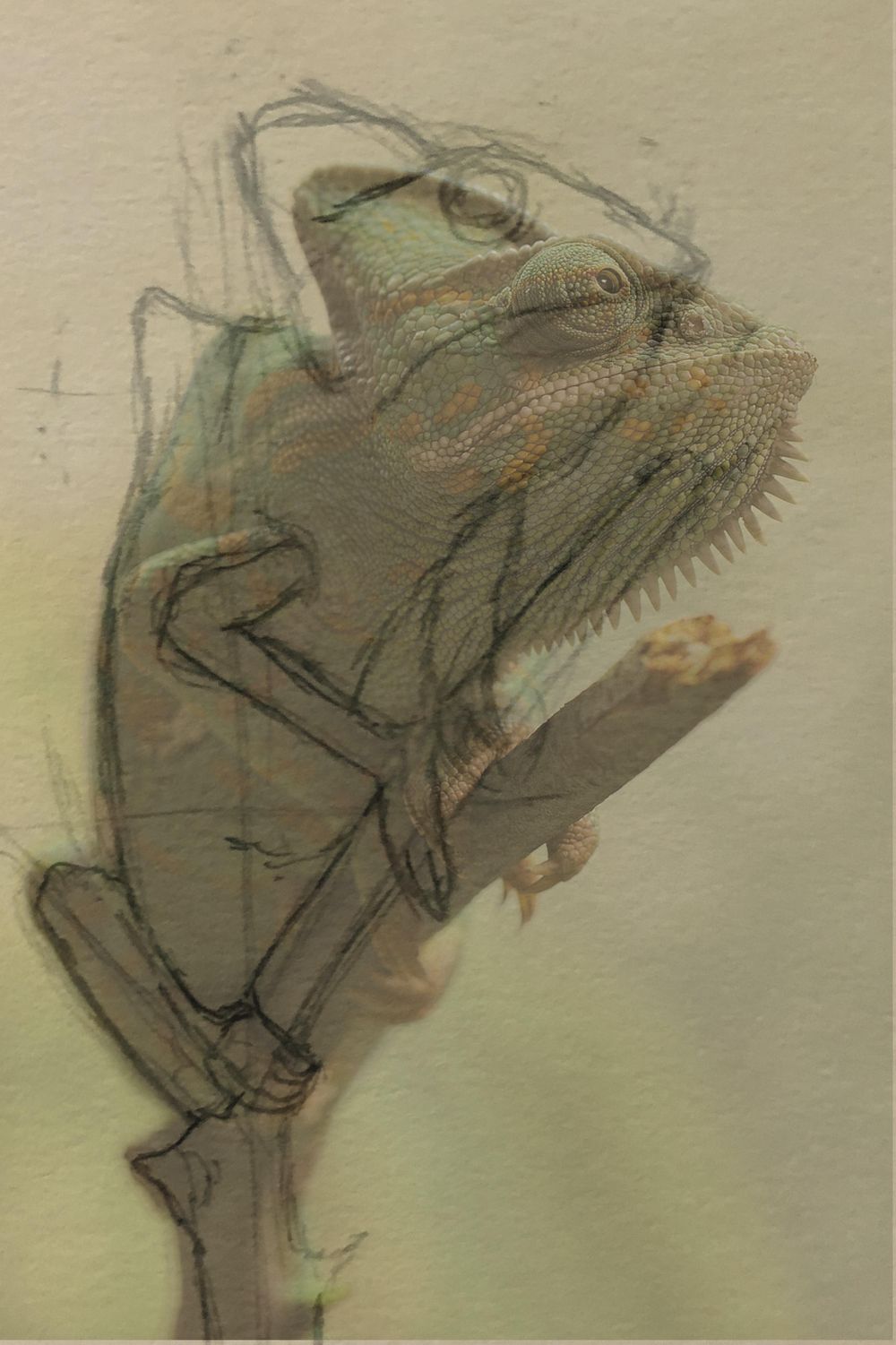 Pencil Drawing - image 2 - student project