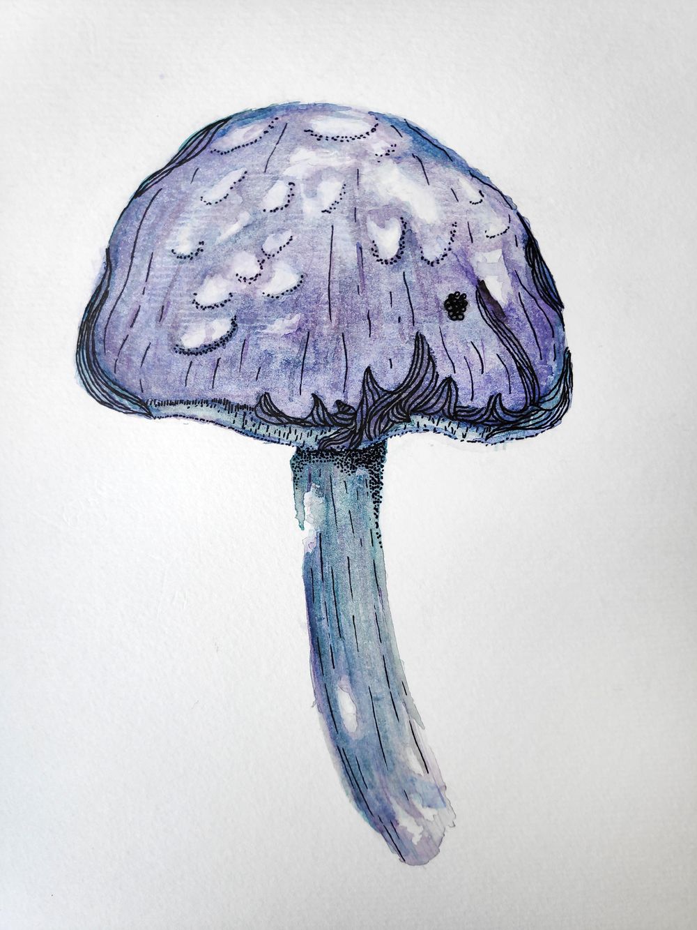 The mushroom and the fern! - image 1 - student project