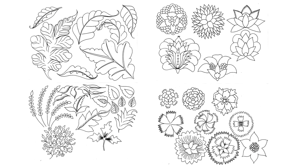 Example project: Pondicherry Bug - image 1 - student project