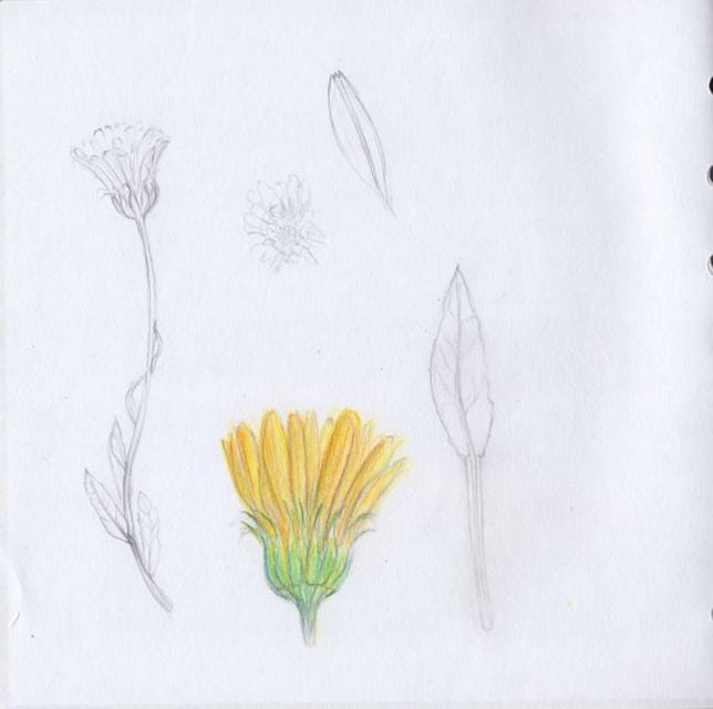 My sketchbook - image 5 - student project