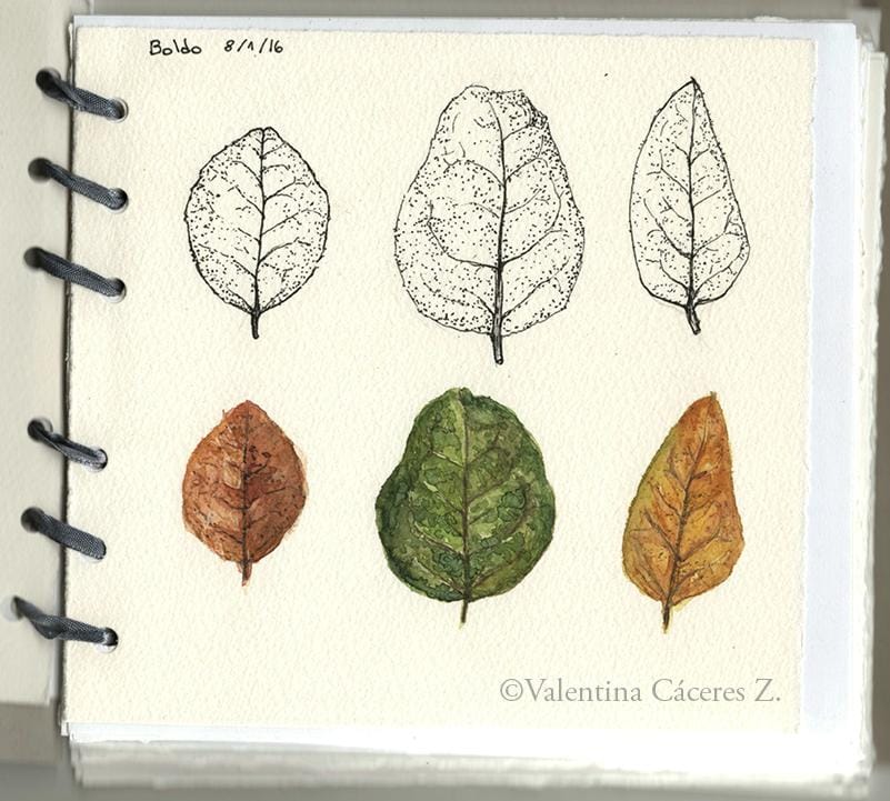 My sketchbook - image 6 - student project