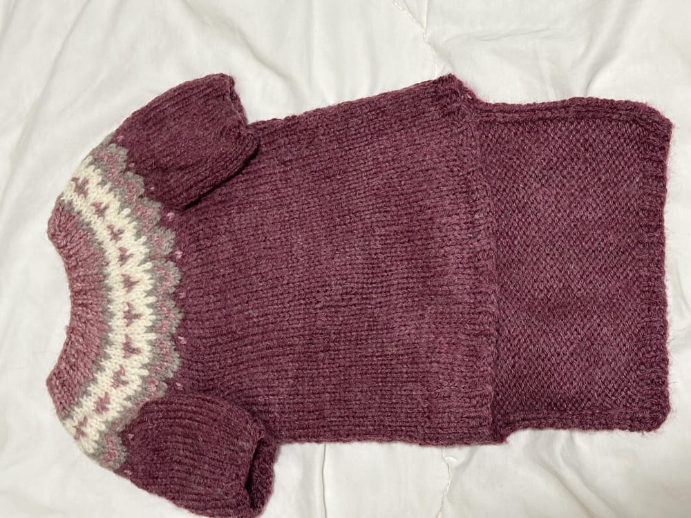 Dog sweater - image 1 - student project