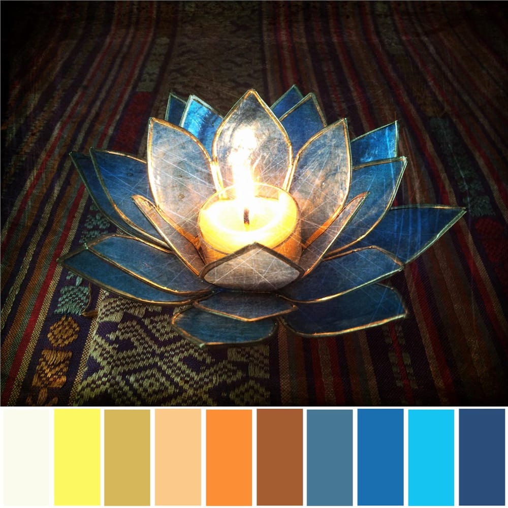 Color Palettes From Nature, Home, and Unexpected Photo - image 2 - student project