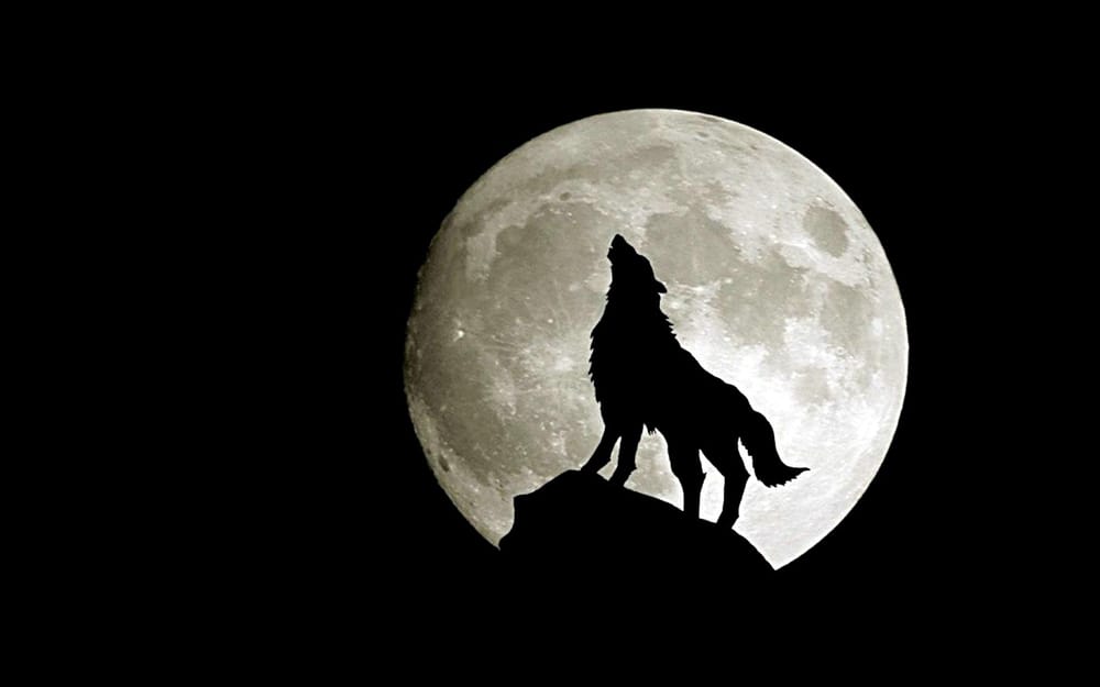 Wolf Pin - image 1 - student project