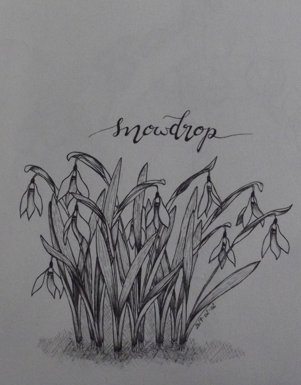 Snowdrop - image 1 - student project