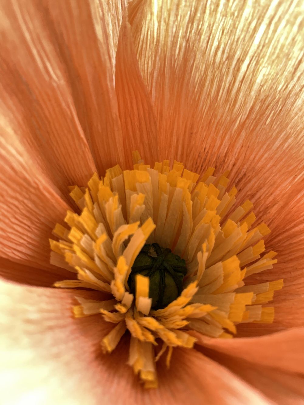 Poppies, Peony, Cherry Blossoms and Beyond! - image 9 - student project