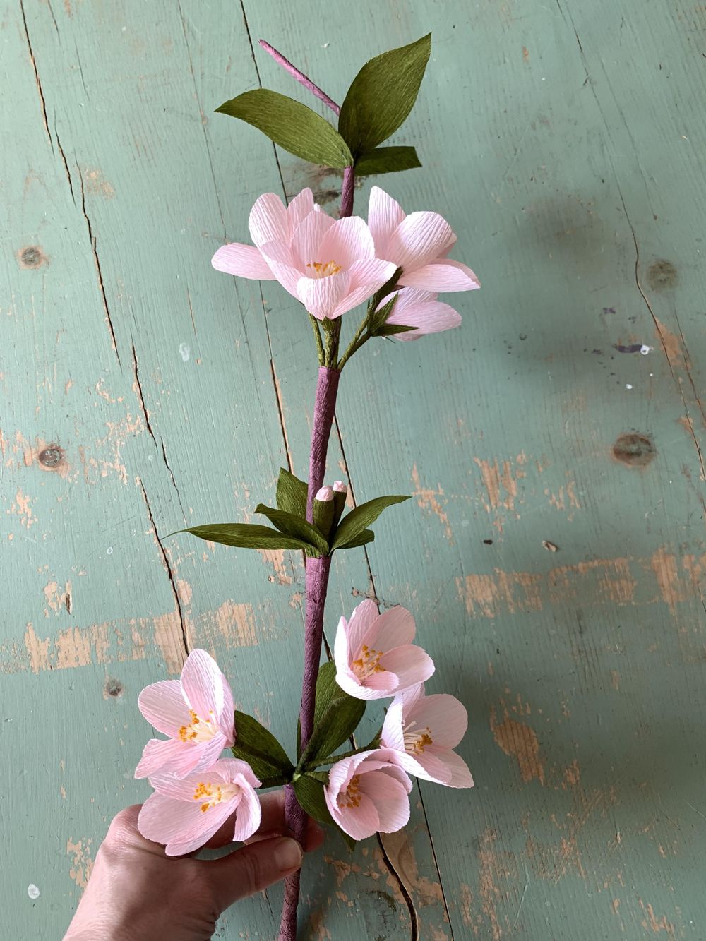 Poppies, Peony, Cherry Blossoms and Beyond! - image 5 - student project