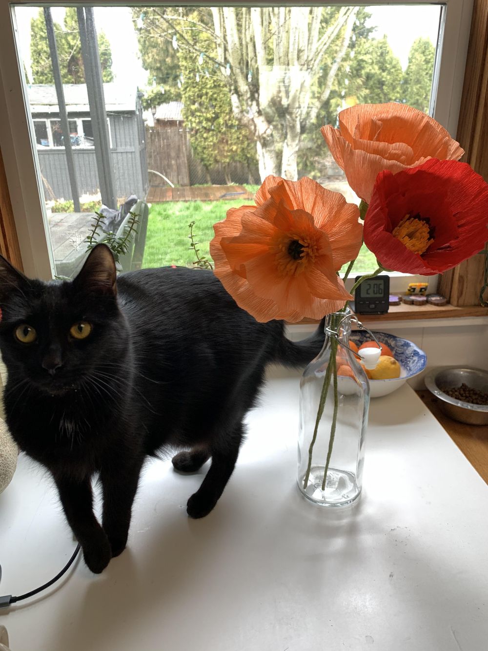 Poppies, Peony, Cherry Blossoms and Beyond! - image 11 - student project