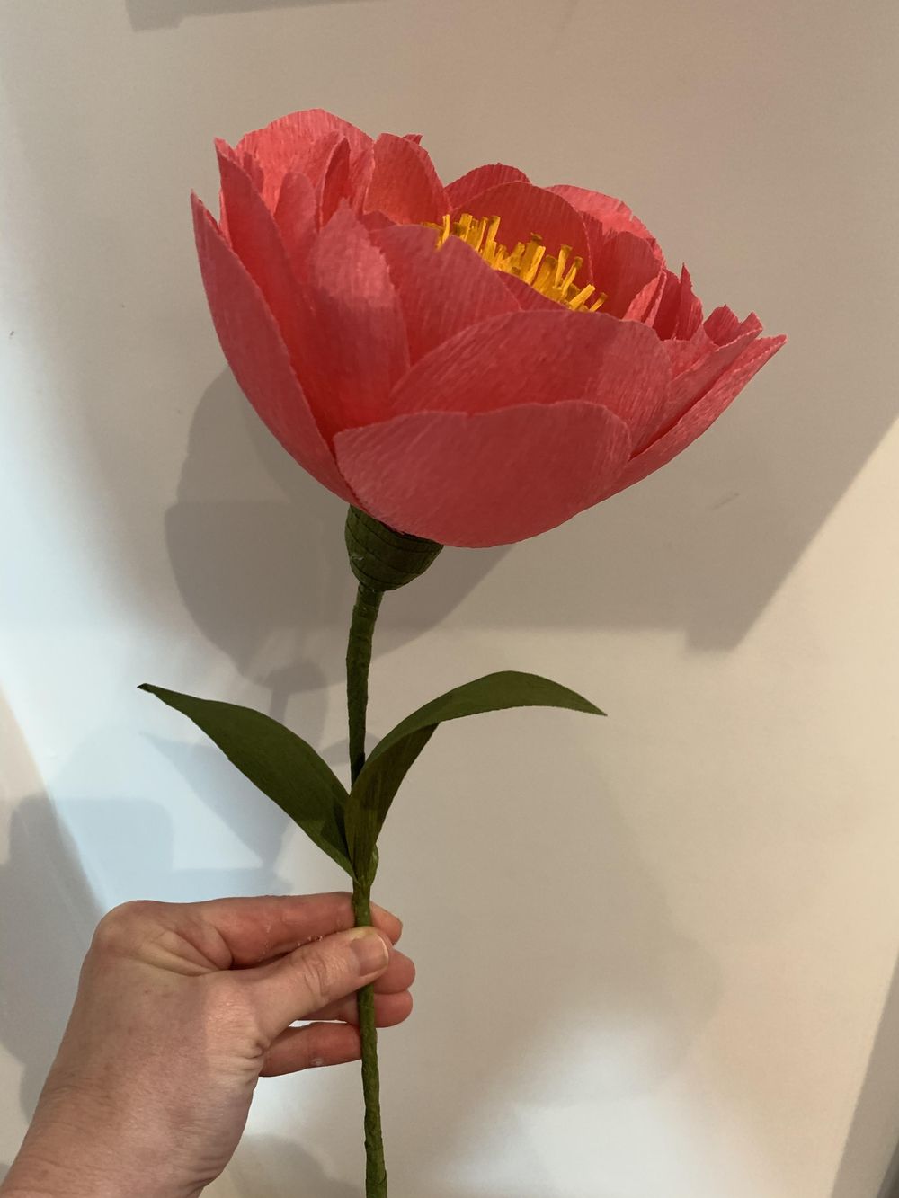 Poppies, Peony, Cherry Blossoms and Beyond! - image 7 - student project