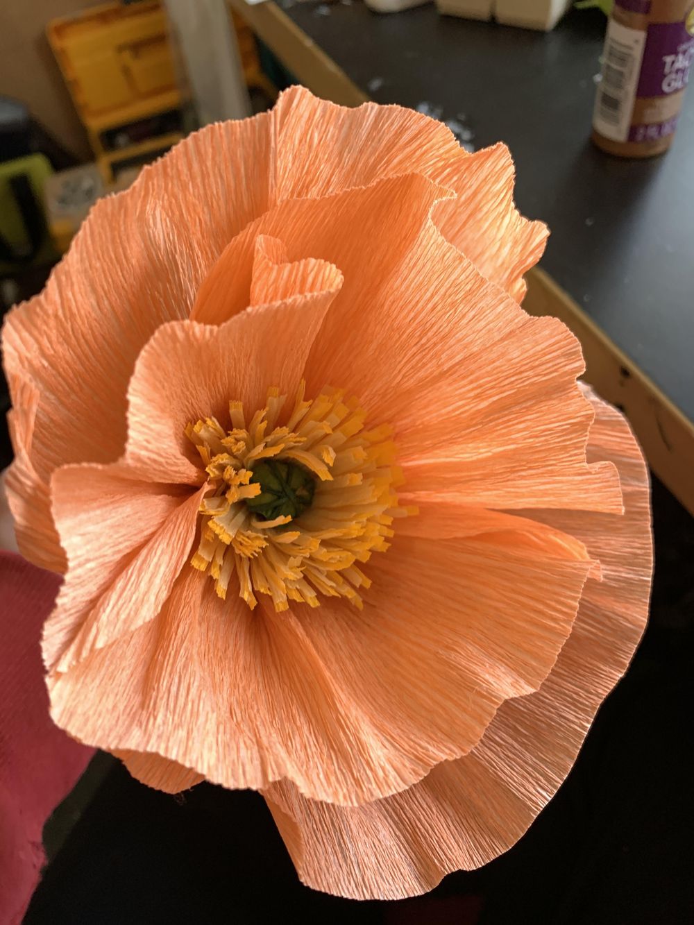 Poppies, Peony, Cherry Blossoms and Beyond! - image 10 - student project