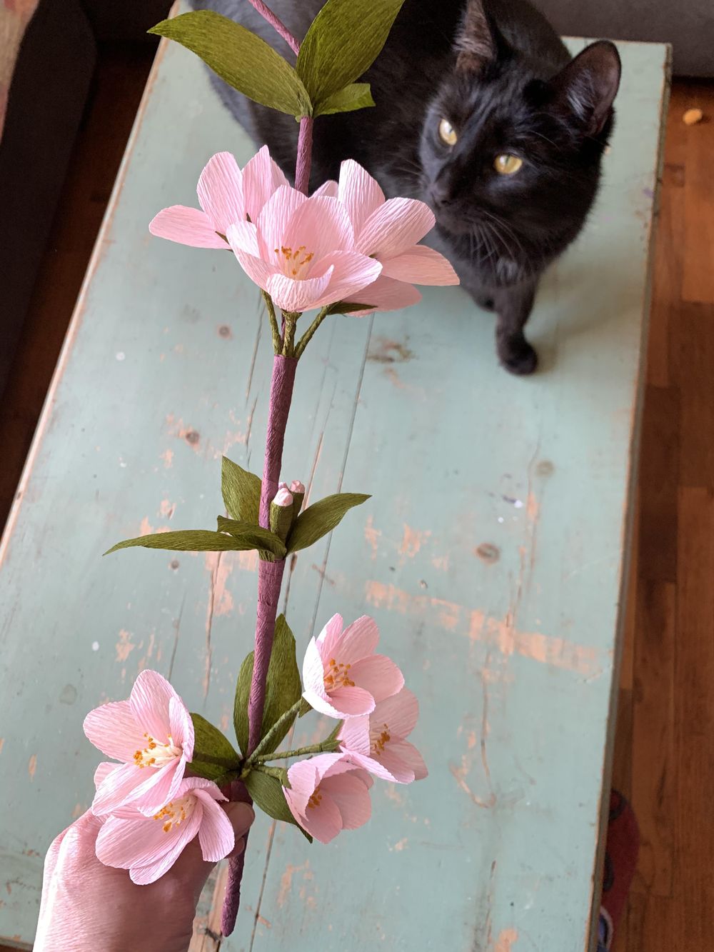 Poppies, Peony, Cherry Blossoms and Beyond! - image 4 - student project