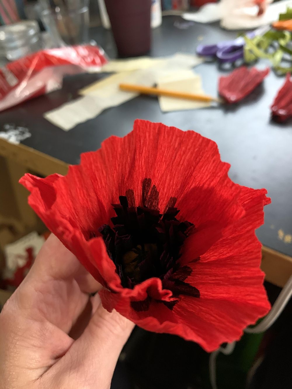 Poppies, Peony, Cherry Blossoms and Beyond! - image 12 - student project
