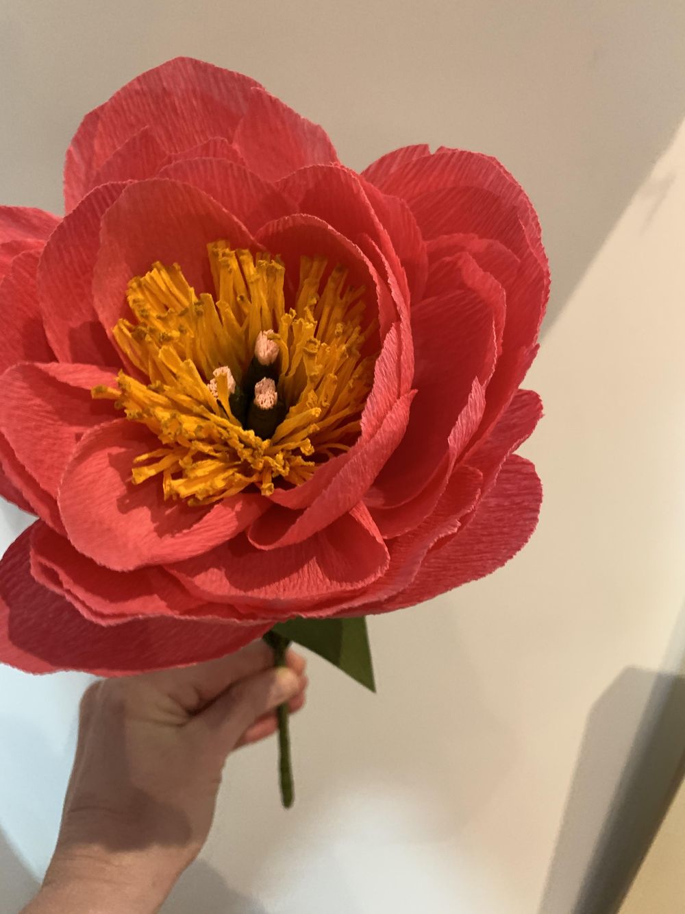 Poppies, Peony, Cherry Blossoms and Beyond! - image 6 - student project