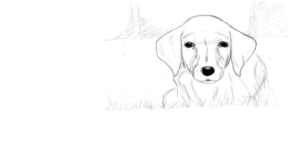 Puppy - image 3 - student project