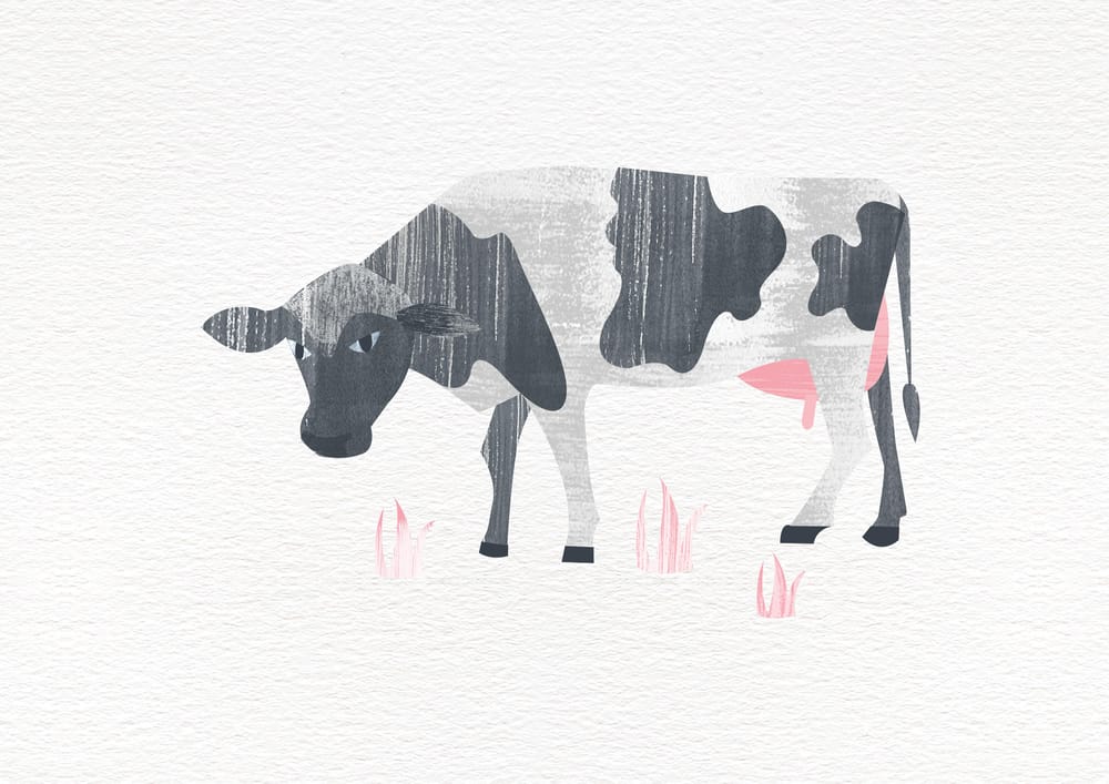 Farm Life - image 2 - student project