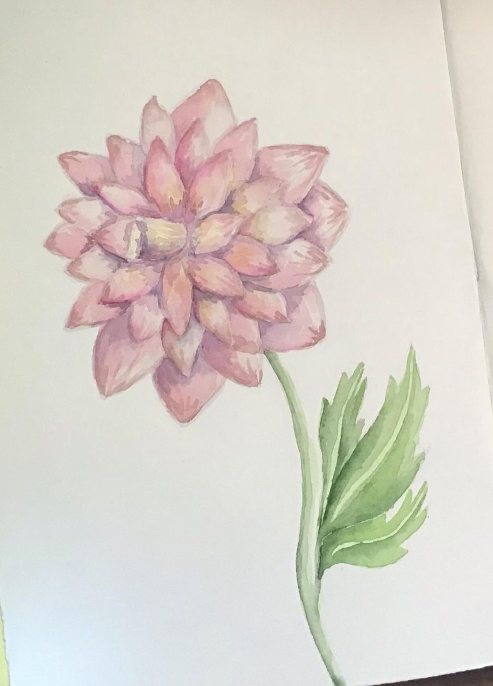 Poppies and Dahlias - image 1 - student project