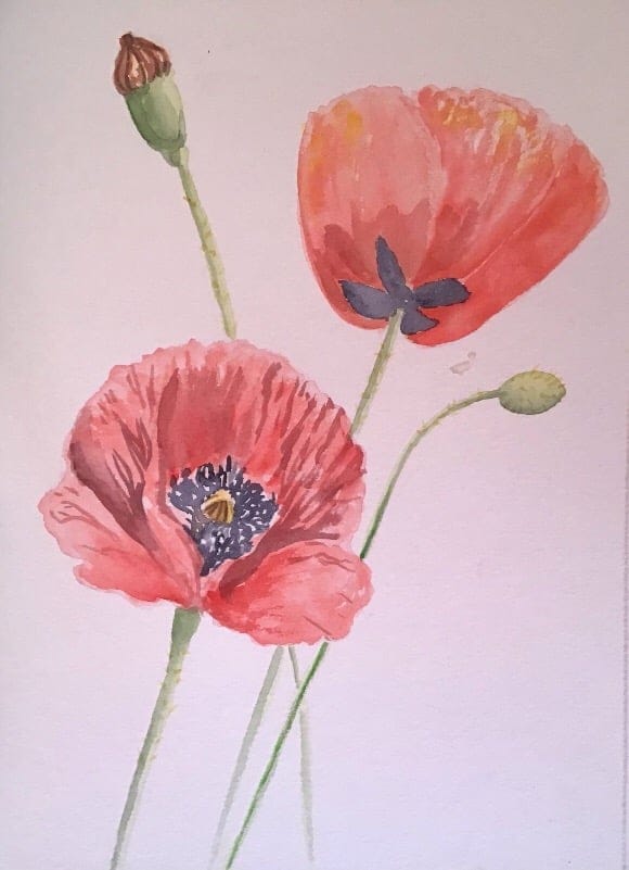 Poppies and Dahlias - image 3 - student project