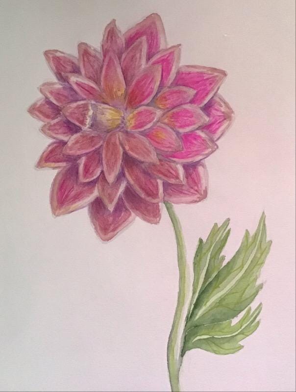 Poppies and Dahlias - image 2 - student project