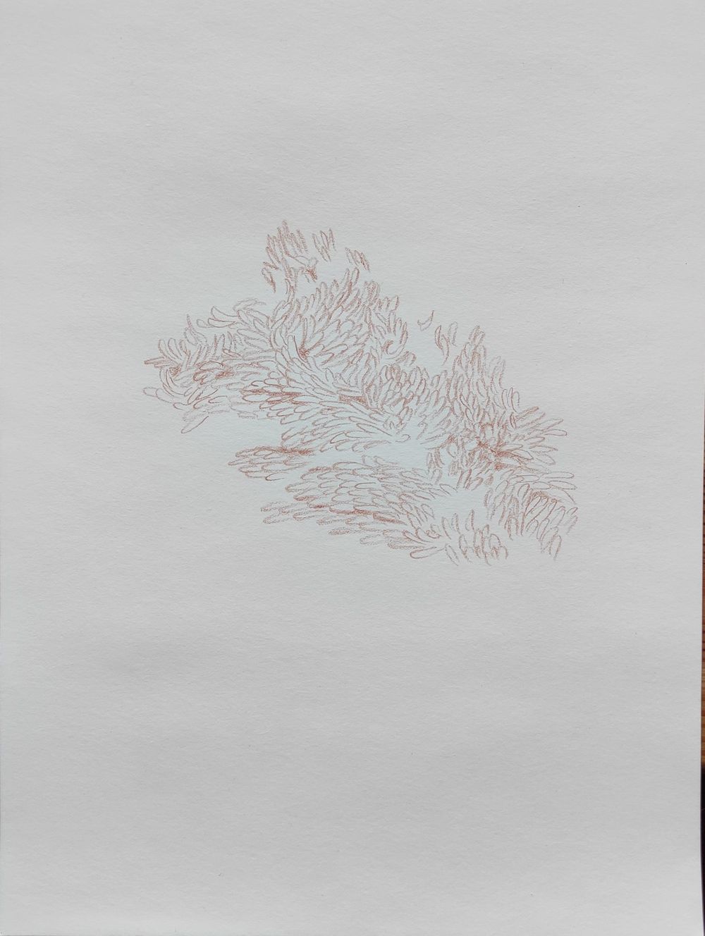 14 Days Drawing Challenge - image 14 - student project