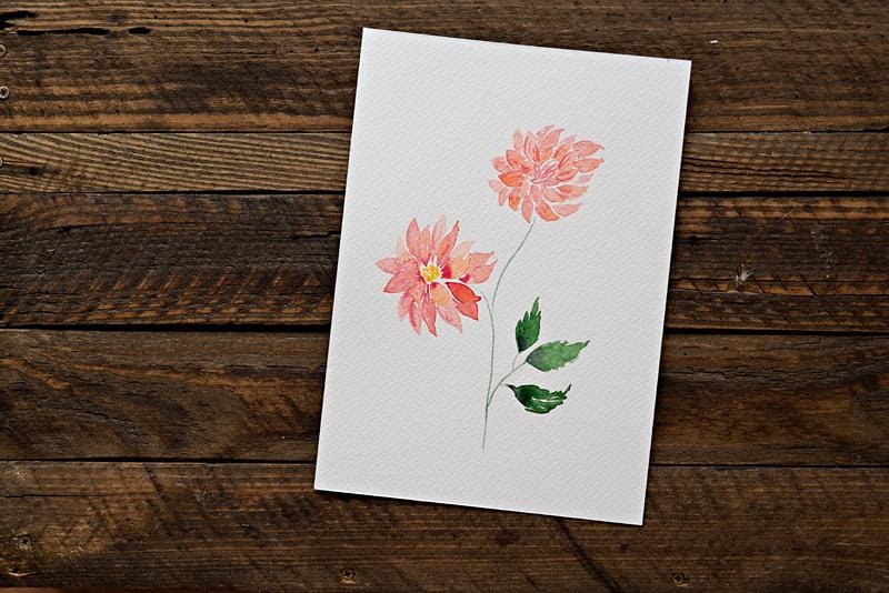Dahlias - image 3 - student project