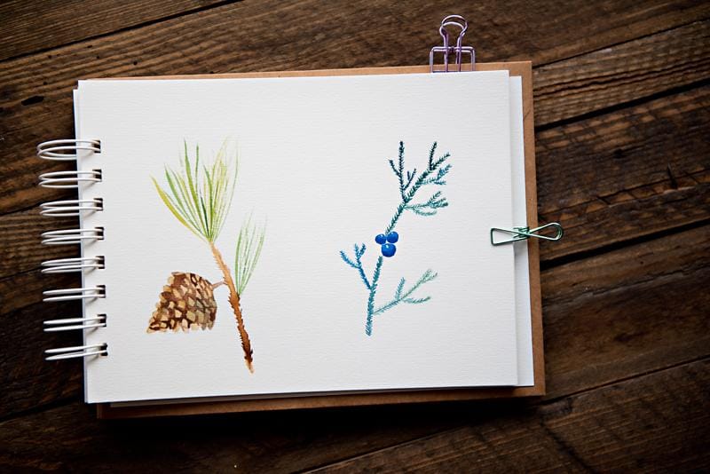 Winter greenery - image 2 - student project