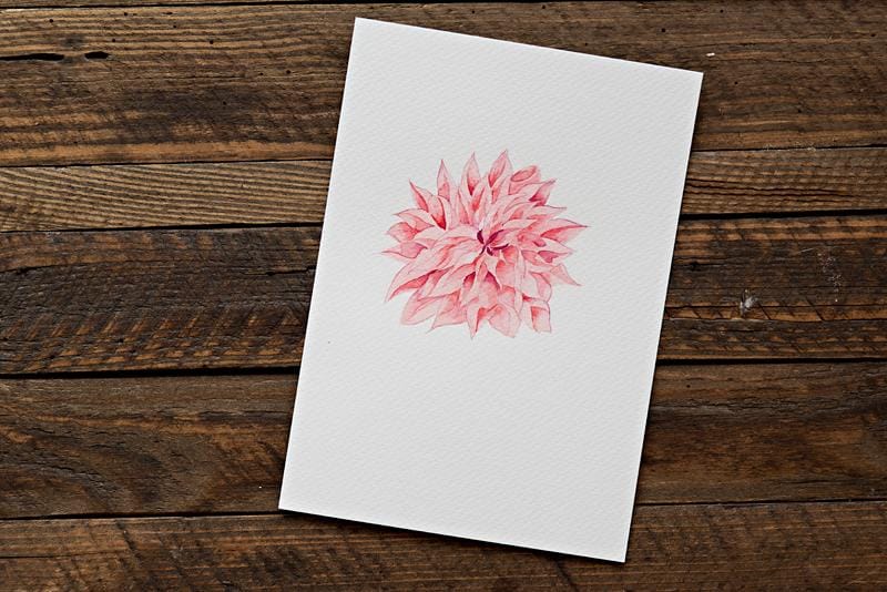 Dahlias - image 1 - student project