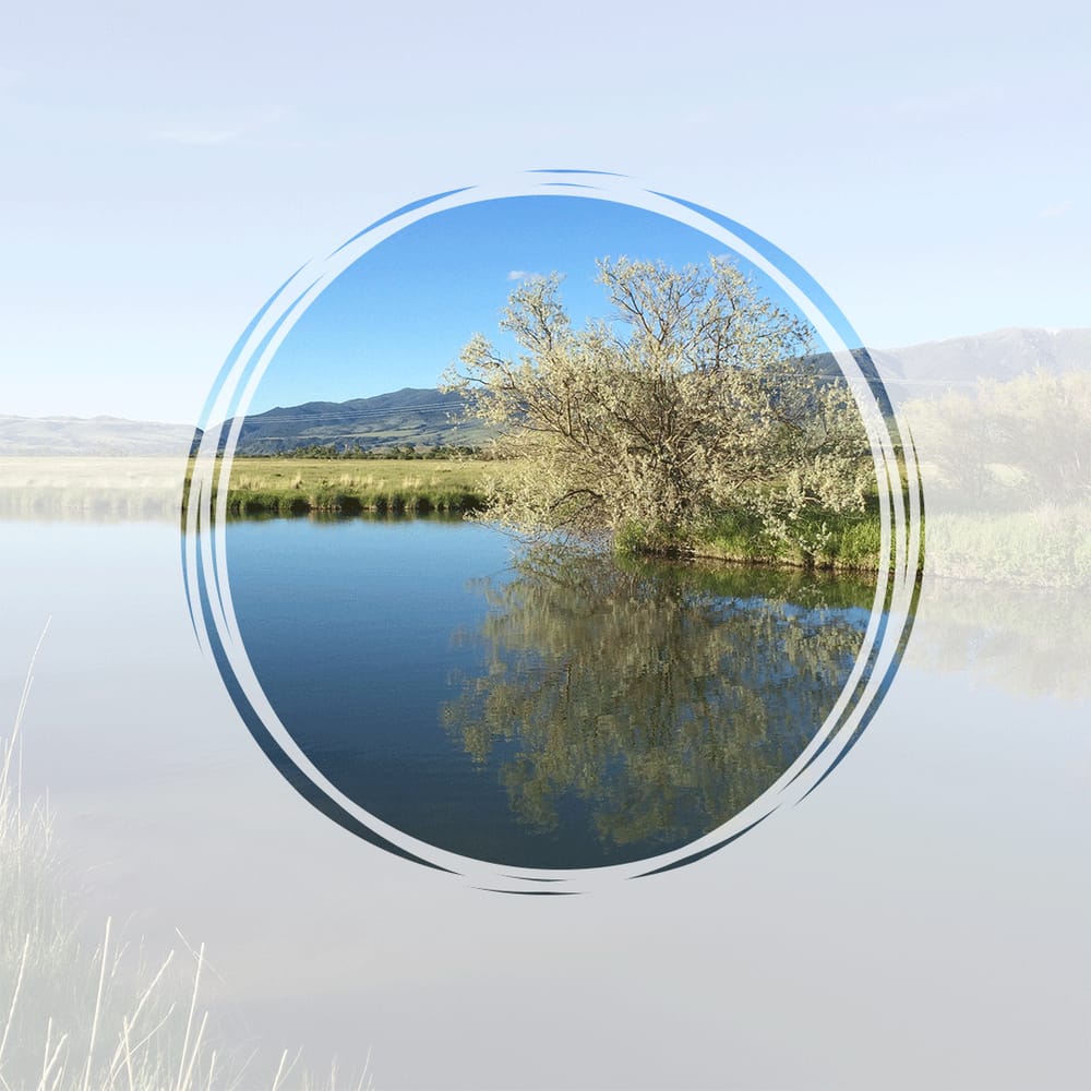 Photo Overlays - image 4 - student project