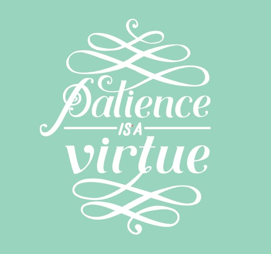 Patience is a virtue - image 1 - student project