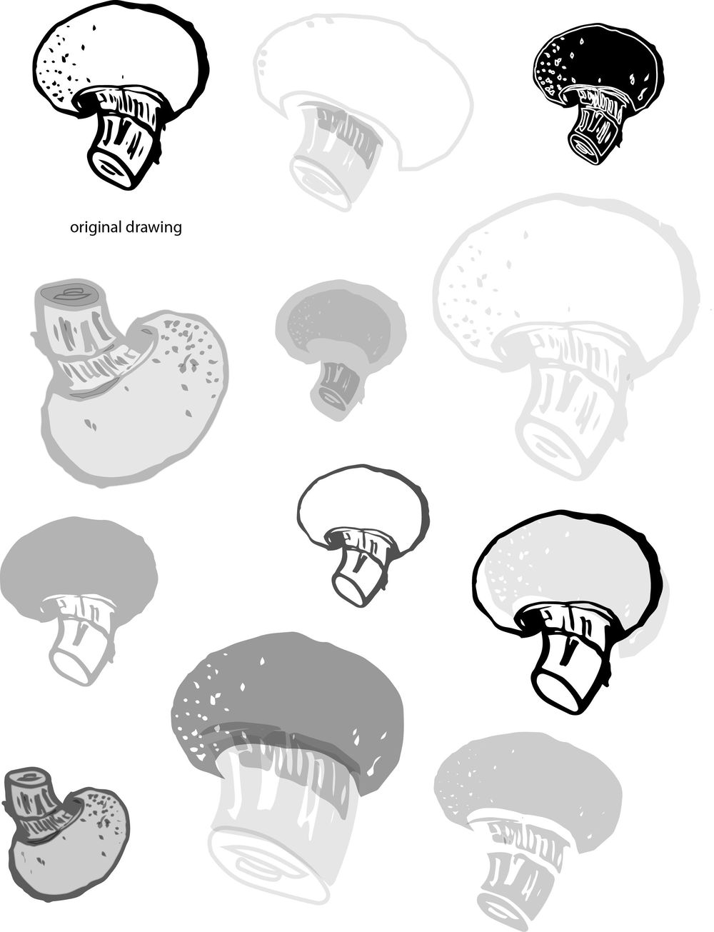 Mushrooms - image 4 - student project
