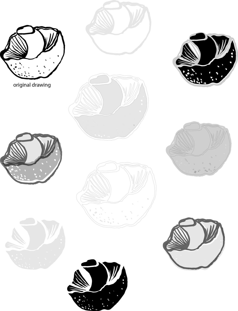 Mushrooms - image 2 - student project