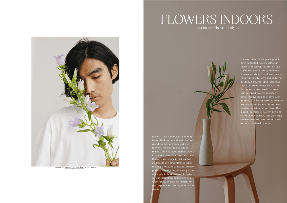 Layout about flowers - image 2 - student project