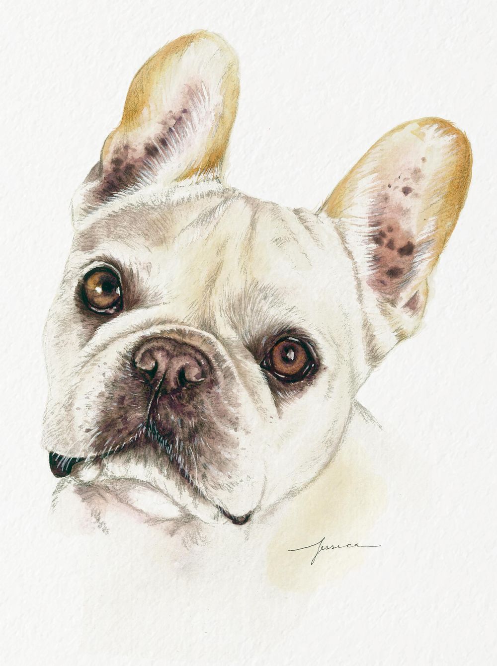 Dog Pawtraits - image 1 - student project