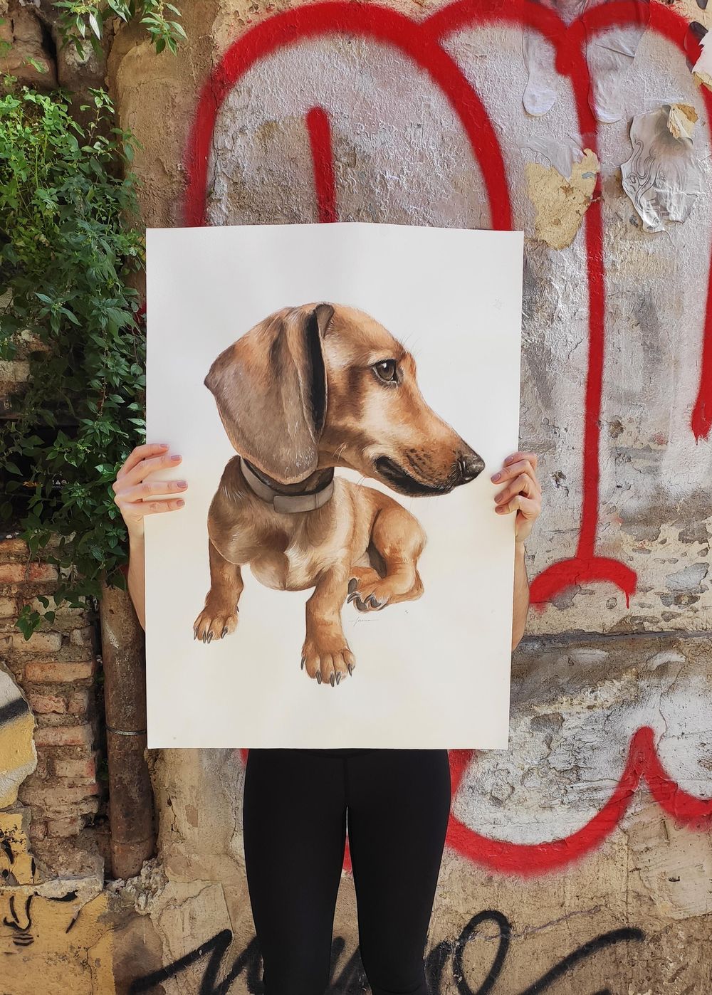 Dog Pawtraits - image 3 - student project