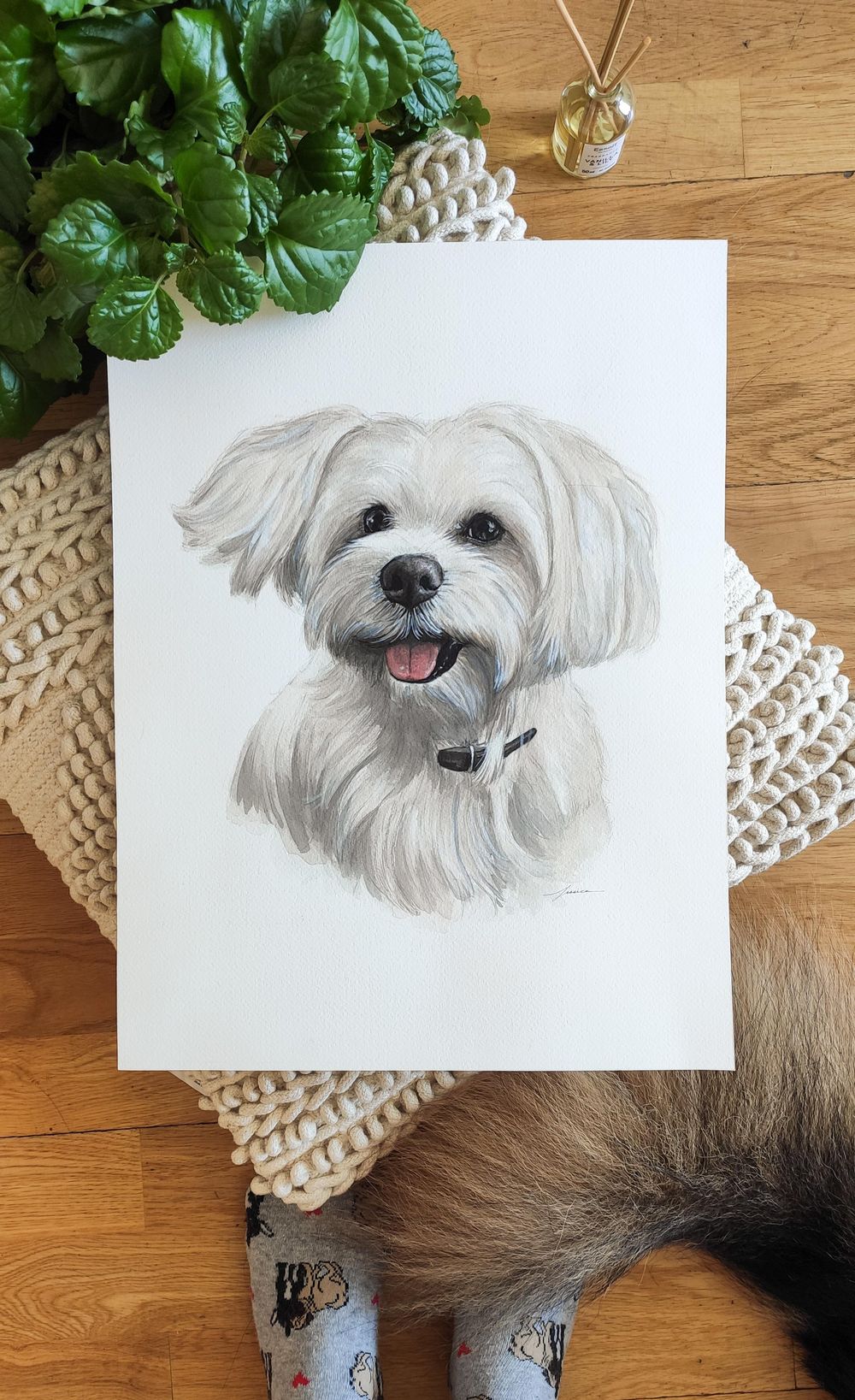 Dog Pawtraits - image 2 - student project