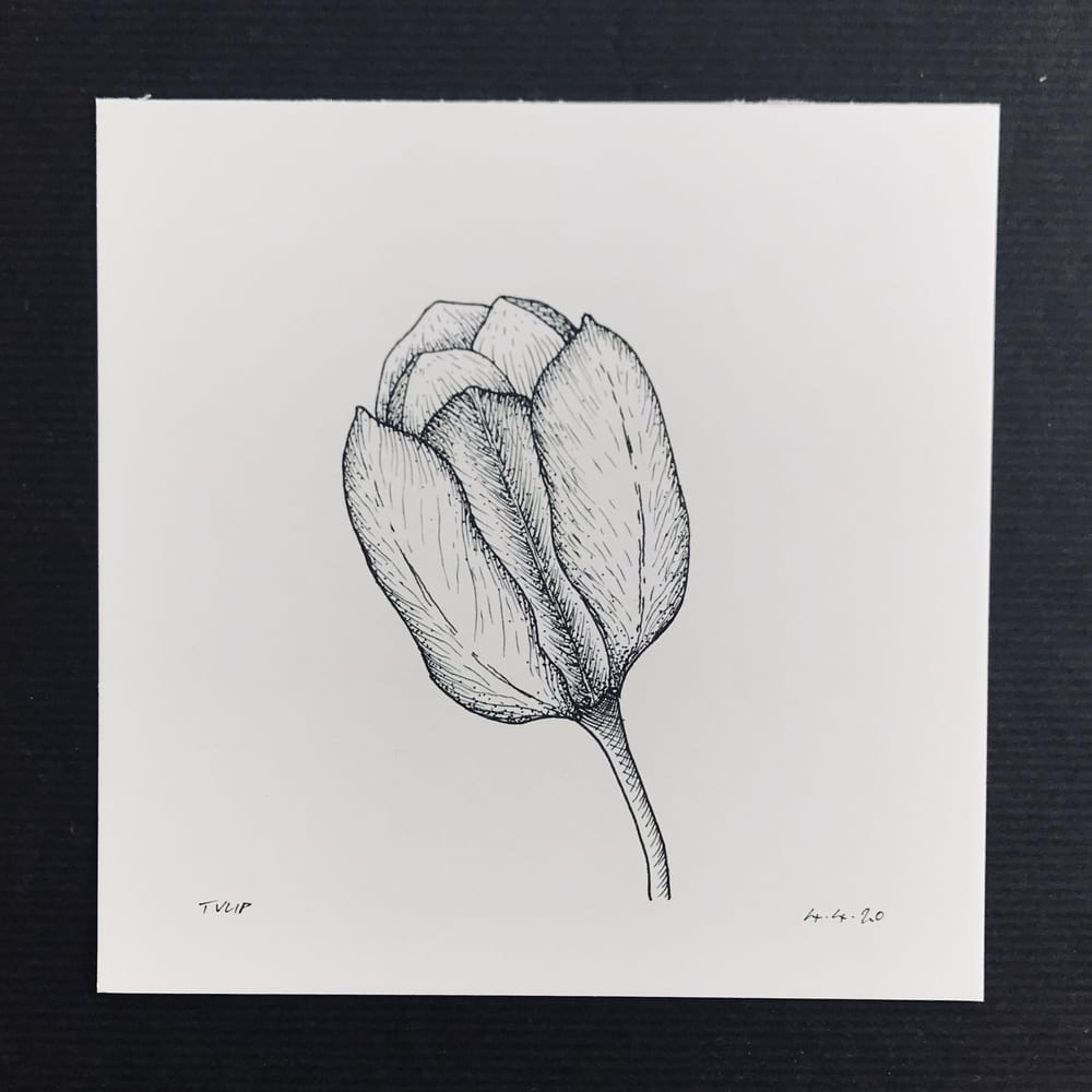Floral Illustration pt 1 - image 5 - student project