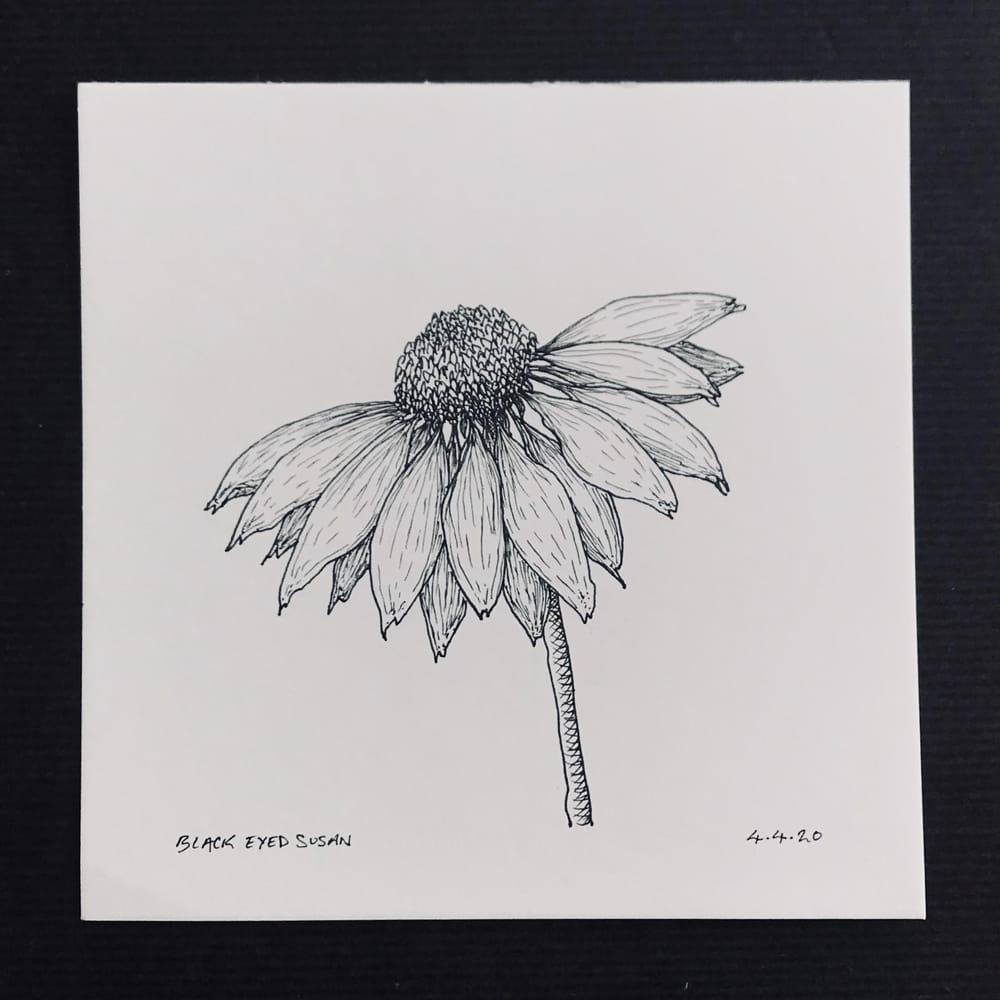 Floral Illustration pt 1 - image 1 - student project