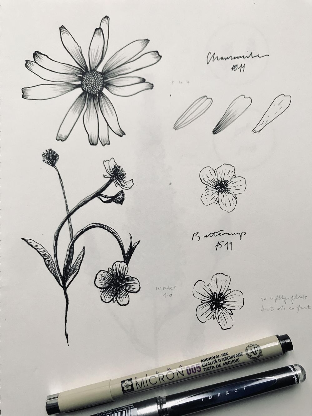 Drawing wildflowers - image 1 - student project