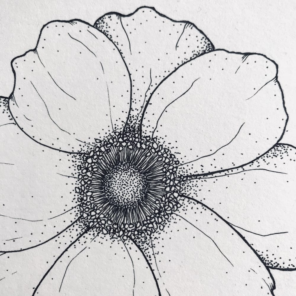 Floral Illustration pt 1 - image 4 - student project