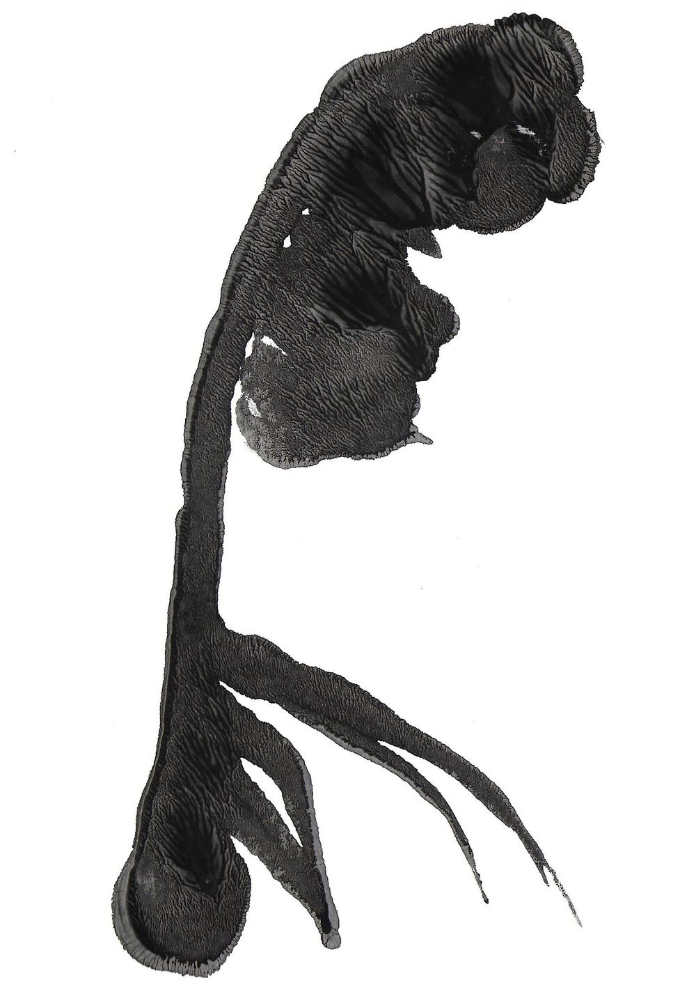 Monotype experiments - image 3 - student project