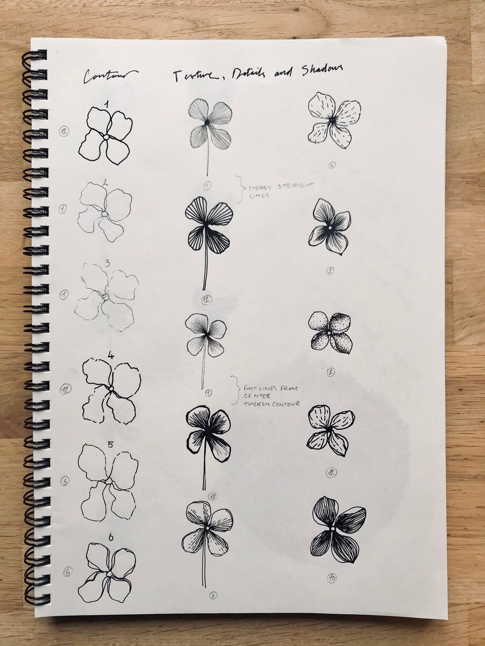 Ink botanical illustration: texture and shading - image 2 - student project
